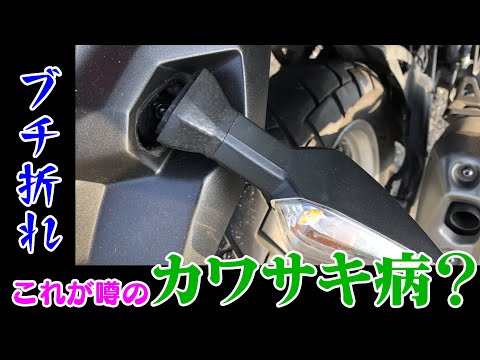 Versys-X | ついに発症、カワサキ病！ ＼(^p^)／