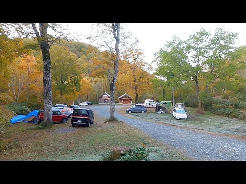 奥利根、自然の森野営場でキャンプ｜Versys-X 車載動画
