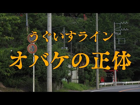 うぐいすライン、オバケの正体（ネタ）