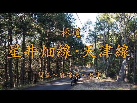 ［VERSYS-X］林道 星井畑線・天津線