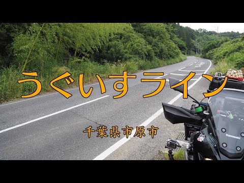 ［VERSYS-X］うぐいすライン（市原）