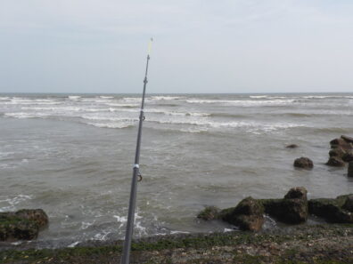 Dscn0046