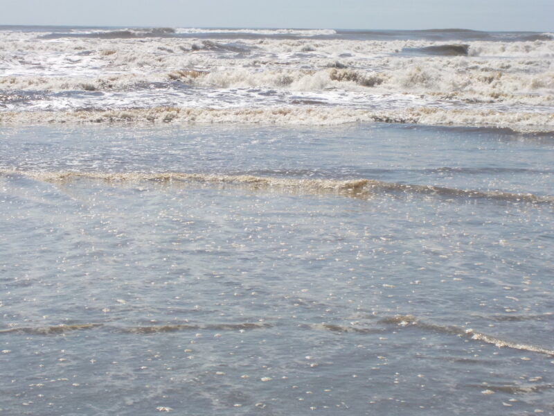Dscn0141