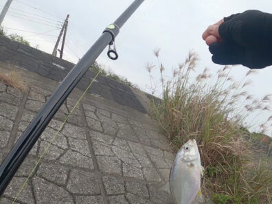 Gx011713 Frame At 0m6s