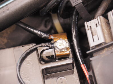 Olympus Digital Camera