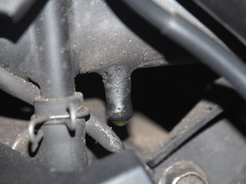 Olympus Digital Camera