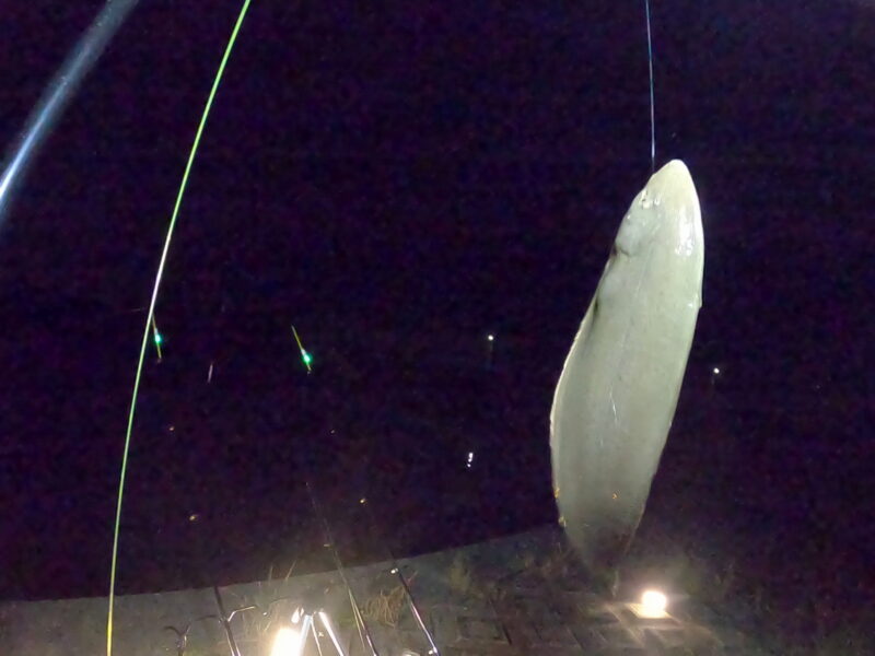 Gx091773 Frame At 0m1s