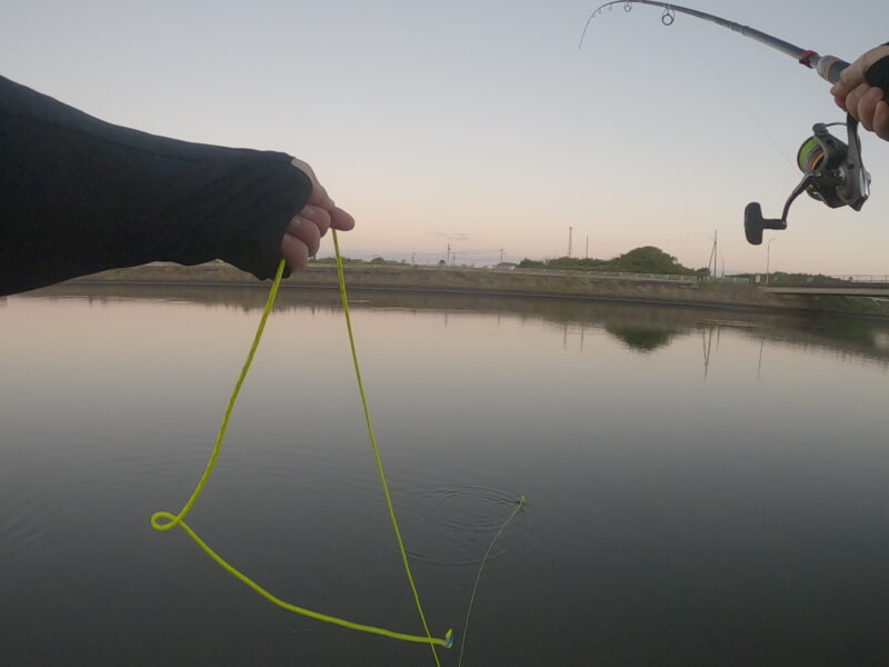 Gx071781 Frame At 8m26s