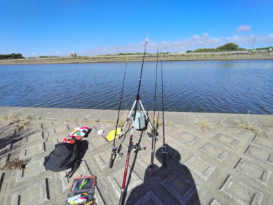Img 1786144080742