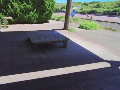Video 1786155232654 Frame At 12m37s